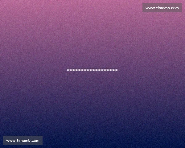 英超三强竞逐布伦特福德锋霸维萨：技术全面的战术多面手能否登陆豪门？